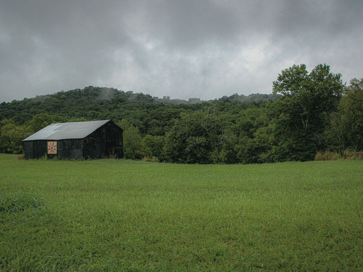 Representative photo of a agriculture business, not this business